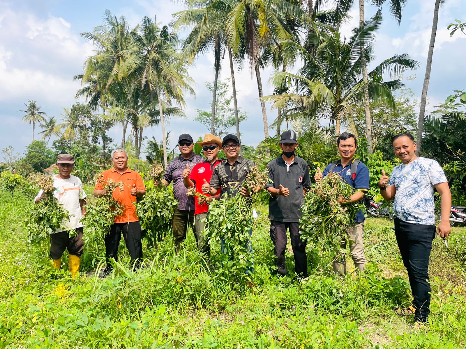 PANEN KACANG MADU BUMKal SEMAR